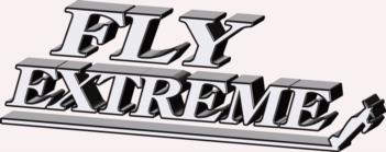 3 Dimensional Fly Extreme - white rc digital decal